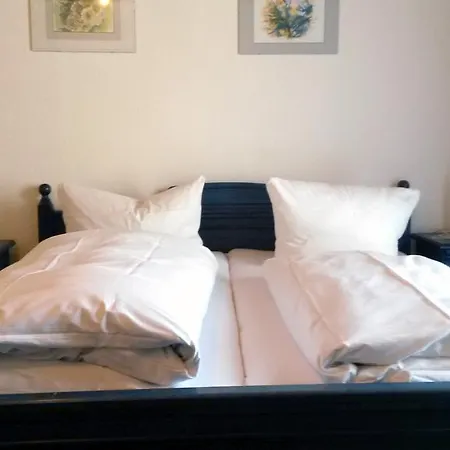 فندق Hotel-gasthof-destille-eisenbahn موسباخ