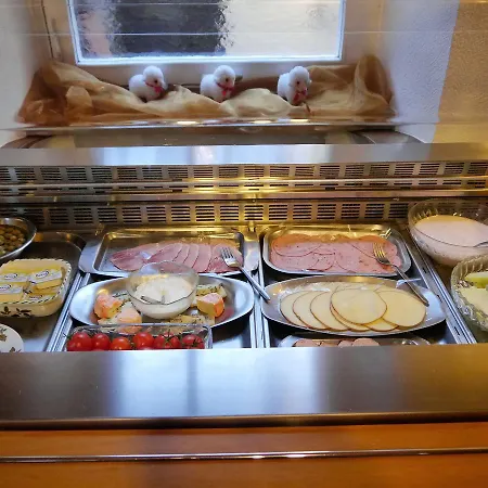 فندق Hotel-gasthof-destille-eisenbahn موسباخ